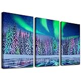 Farmhouse Canvas Wall Art For Bedroom Wall Decorations For Living Room Aurora Scenery Pictures Stretched And Framed Canvas Prints Paintings 3 Piece Bathroom Wall Decor Ready To Hang For Home Decor