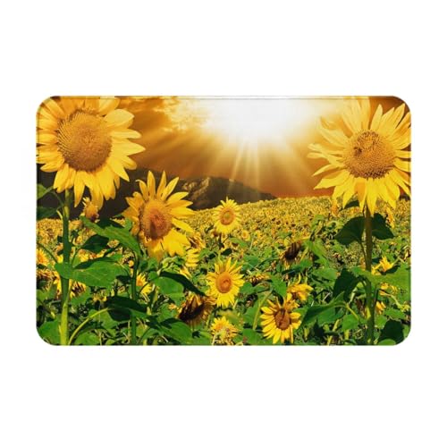 Ђ܂vg GDJ[ybg hq|Ղ}bg 40x60cm