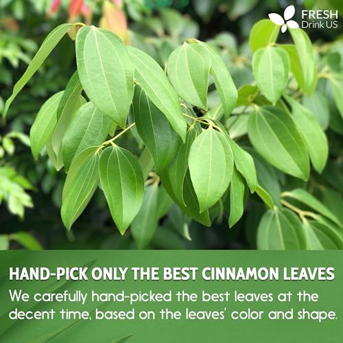 Image of 50+ (3oz) Natural Cinnamon Leaves, Whole Dried Cinnamon Leaves, 100% Pure from Dried Cinnamon Leaves, Cinnamon Leaf Tea, No Additives, No Caffeine, Vegan
