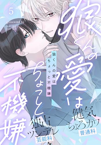 狼くんの愛はちょっと不機嫌(5) (アメイロ)