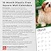 Shih Tzu Puppies | 2026 12 x 24 Inch (Hanging) Monthly Square Wall Calendar | Plastic-Free | BrownTrout | Animal Small Dog Breed Puppy