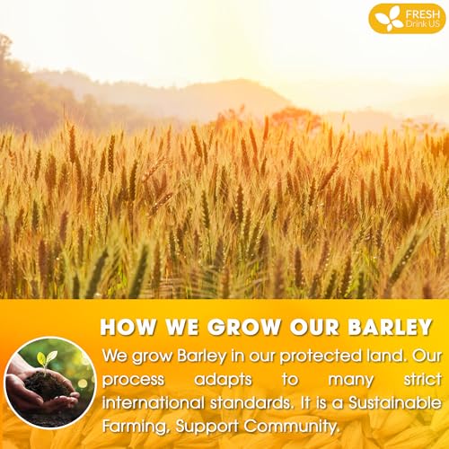Image of FreshDrinkUS Premium 120 Barley Tea Bags, 100% Natural & Pure. Loose Barley Herbal Tea. Made with Natural Material Tea Bags. No Sugar, No Caffeine, No Gluten, Vegan