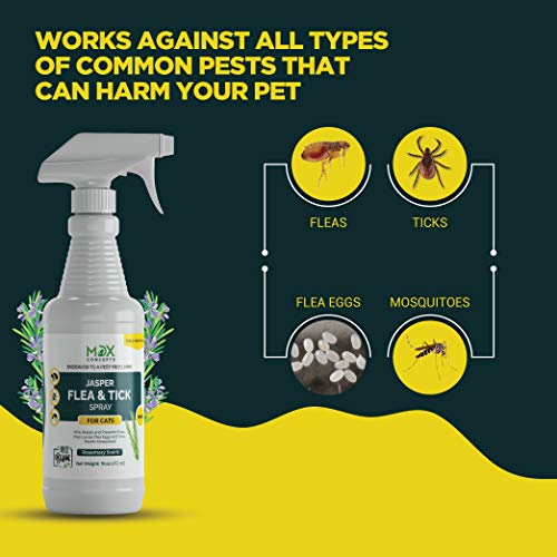 mdxconcepts Organic Flea and Tick Control Spray for Cats- Made in USA - Rosemary Oil flea Treatment for Cats–Flea Repellent 100% Natural –Essential Oils – Flea Killer - Safe to Use –16 oz - Thumbnail 2