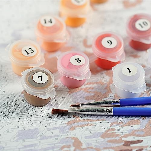 Malen Nach Zahlen Österreich Stadt - 40x50cm Leinwand Set Für Erwachsene