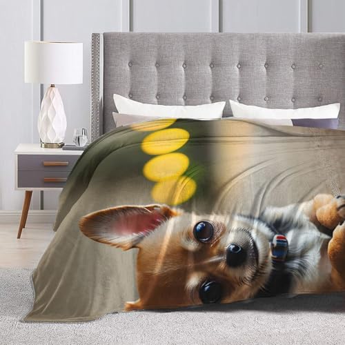 Chihuahua-Hunde-Motiv, ultraweiche Flanelldecke, Anti-Pilling, Mikro-Decken, Sofa, leicht, für alle Jahreszeiten