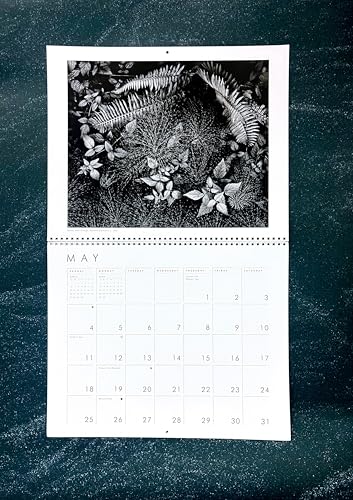 Ansel Adams 9780316571616 2025 Wall Calendar: Authorized Edition: 13-Month Nature Photography Collection thumb #3