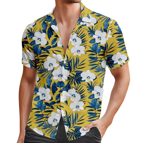 Tee-shirt noir uni col V premium en maille fine et douce