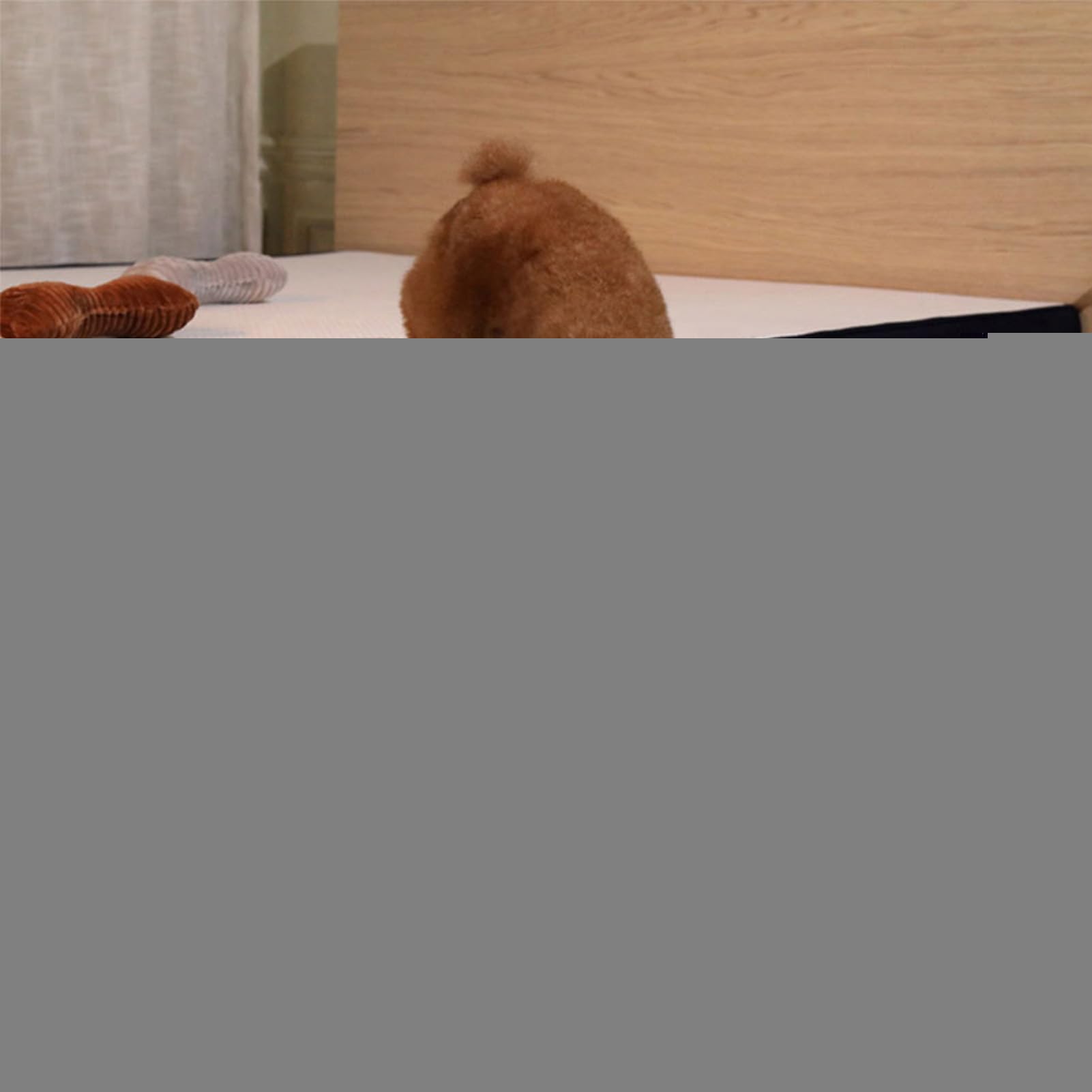 escaleras para Perros-Plataformas escalonadas portátiles, Escalador para