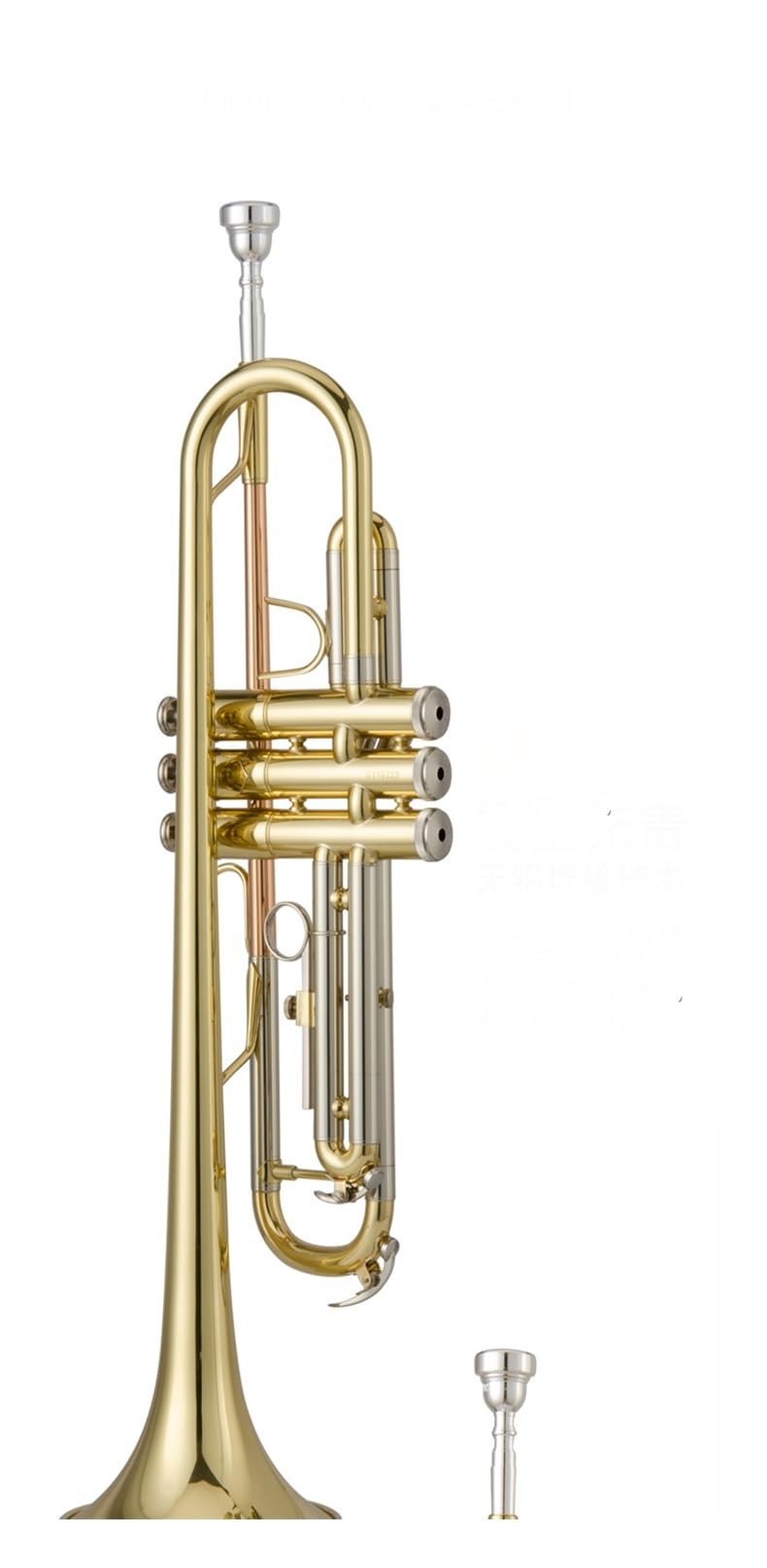 trąbka instrument Trąbka hiszpańska lakierowana w kolorze złotym w tonacji B z mosiężnym instrumentem dętym o płaskich ustach