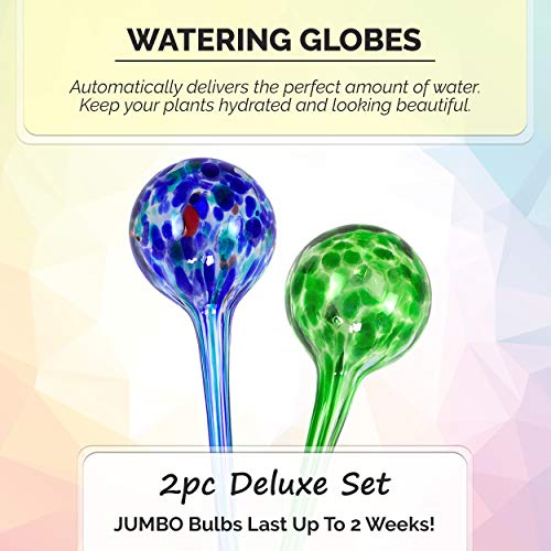 Blazin' Bison Automatic Irrigation Drippers Extra Large | Watering Globes for Indoor Plants | House Plant Water Bulb | Up to Two Weeks | 2pc Set (Jumbo)