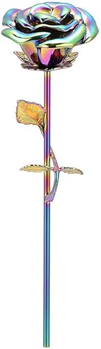 OIJH - Jarrón de acero inoxidable con diseño de flores multicolor y arcoíris, color gris