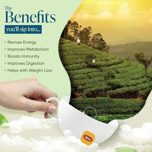 Image of Winty Exquisite Lemon Green Tea - 30 Compostable Tea Bags | Aromatic Blend Lemon & Peach | For Body Detox, Immunity and Weight Management | Herbal Tea Bags | Low Caffeine | No Preservatives