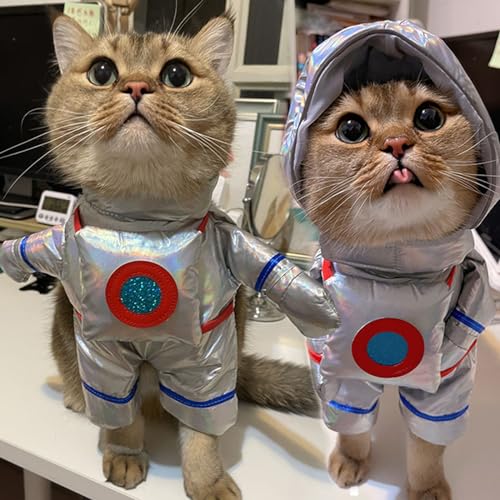 Combinaison spatiale pour chien et chat costume d'astronaute