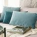 MIULEE Velvet Throw Pillow Covers 20x20 Inch, Pack of 2 - Aqua Green, Soft Solid Decorative Pillow Covers Cushion Cases Modern Luxury Home Decor for Spring Couch Sofa Bedroom Livingroom
