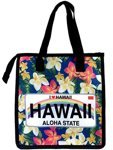 insulated Tote 007, Thermal for Potluck Parties/Picnic/Beach/work/Lunch Bag to Keep Food Hot/Cold - Medium