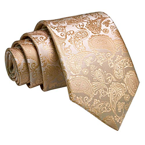 Image of JEMYGINS Mens Solid Color Paisley Necktie and Pocket Square with Tie Clip Sets