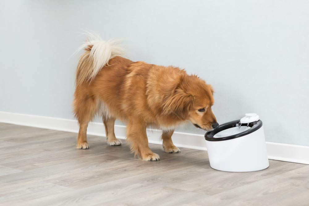 TRIXIE - Dispenser per Acqua a Triplo Flusso, in plastica, 2 l/Ø 22 x 18 cm, Nero/Bianco, 1,05 kg
