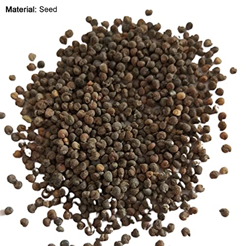 Lelie zaden, 100 Stks/zak Lelie Bollen Non-GMO Sierplanten Gemengde Kleur Bloemblaadje Office Desktop Bloemzaden voor… - Afbeelding 6