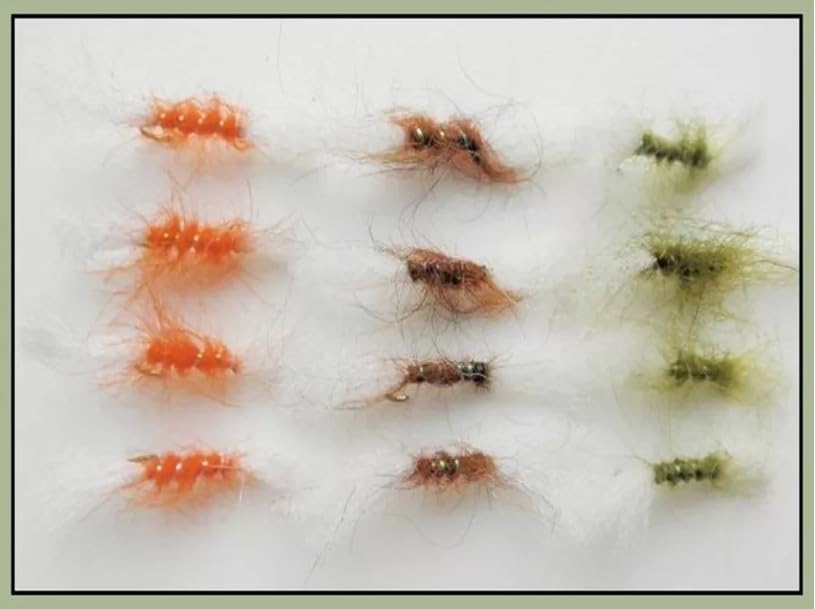 12 Pack Shipman Buzzer - Orange, Brown & Olive, Choice of Sizes, fly fishing (12, 14)