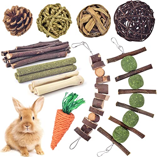 KATUMO Rabbit Chew Toys, Hamster Toys Natural Apple Wood Guinea Pigs Chewing Toys Bunny Ball Toys Teeth Care Toys for Rabbits Guinea Pigs Squirrel Gerbils Small Rodent Pets Chewing and Playing
