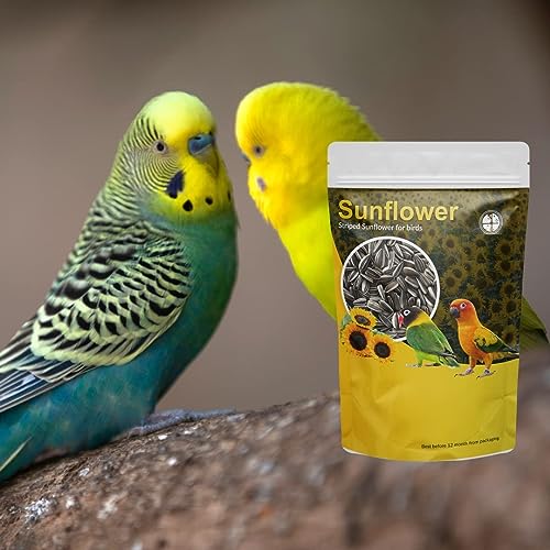 CybeXis Striped Sunflower Seeds for Bird -[1Kg]