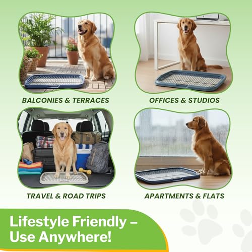 Image of MAK7 Online Dog Poop Training Tray with Metal Mesh Grid, Indoor Pet Waste Management System, Size 65cm X 50cm, Removable Grid for Easy Cleaning ASORTED Colors (Blue /Green /Grey)