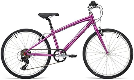 Dimension 24" Aluminum Bicycle in Metallic Purple by Ridgeback (Age 8-11)