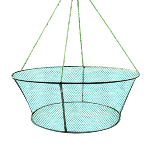 A New Folding Fishes Net Perfect for Keeping Fishes Minnows Crab Lobsters Size-31'