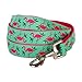 Blueberry Pet 2cm x150cm Moyen Modèle M, Flamant Rose sur Vert émeraude Clair, Laisse pour Chien, Nylon, Collier et Harnais Assortis Vendus séparément