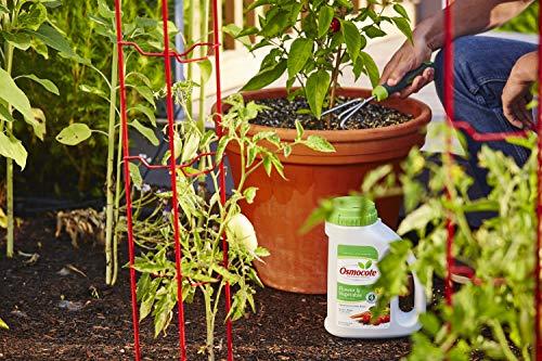 Osmocote Fertilizante Granulado para Flores y Verduras 4.5 lb 6-Pack miniatura 5