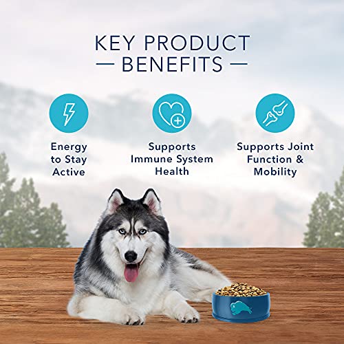 Blue Buffalo Wilderness High Protein, Natural Senior Dry Dog Food