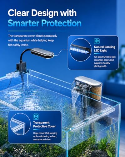 Image of 5-Gallon Ultra-Clear Glass Fish Tank Starter Kit, LED Light, Reusable 3-Stage Filter, Lid, Easy Maintenance Rimless Aquarium for Betta and Small Fish