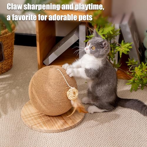 Jouet boule à gratter pour chat d'intérieur : chasse et escalade - 4