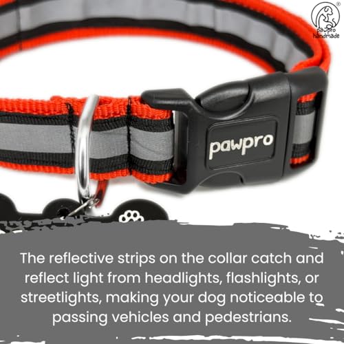 Image of PAWPRO HANDMADE Nylon Reflective Dog Collar With Customizable Bone-Shaped Tag Adjustable For Safety And Comfort, Fits 35-50 Cm Neck Black (Red, Medium)