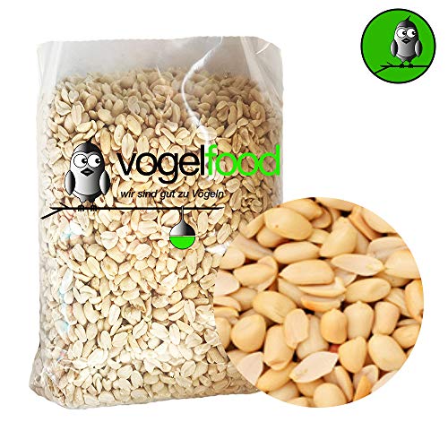 Preisvergleich Produktbild Vogelfood 10 KG Erdnusssplits blanchierte Erdnüsse Splits Beste Qualität