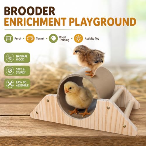 Image of Baby Chick Perch & Tunnel Toy Set for Brooder, Chick Roosting Bar Training Toys, Chicken & Duckling Enrichment Playground, Anti-Boredom Coop Accessories for Baby Chicks Ducks Small Birds