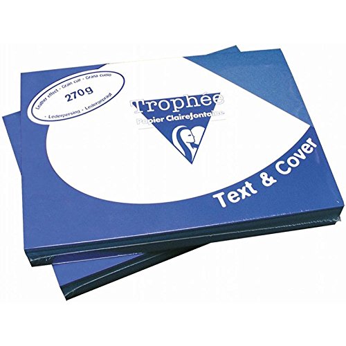 Preisvergleich Produktbild 100 weiße Gipskartons, zum Aufbügeln, 100 Stück