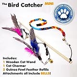Mini Cat Feather Wand Toy Set with 2 Guinea Fowl Feather Refills 1 Ribbon and Wooden Rod