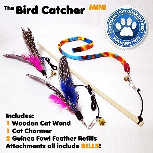Mini Cat Feather Wand Toy Set with 2 Guinea Fowl Feather Refills 1 Ribbon and Wooden Rod