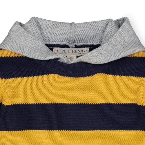 Image of Hope & Henry Boys' Hooded Pullover Sweater