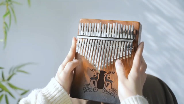 Kalimba 17 Tasti Professionale - Pianoforte A Pollice In Mogano Con Borsa