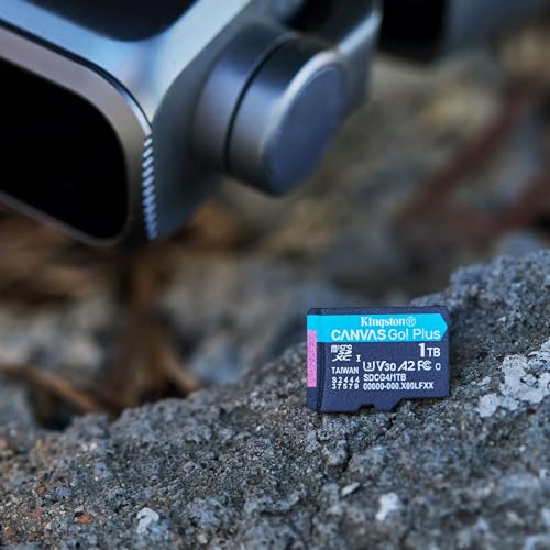 Image of Kingston Canvas Go Plus 256GB microSD Card | Up to 200MB /s | Class 10, UHS-I, U3, V30, A2 | SDCG4 /256GB