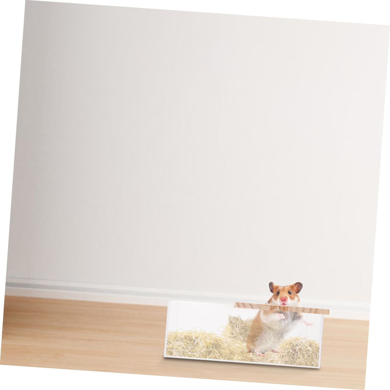 2 Stück Transparenter Acryl Sandkasten für Kleintiere Verschleißfest und Leicht für Hamster und Meerschweinchen im Haushalt