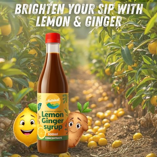 Image of Nutrinat Lemon Ginger Syrup - 500ml, (Pack of 2) | Fruit Concentrate