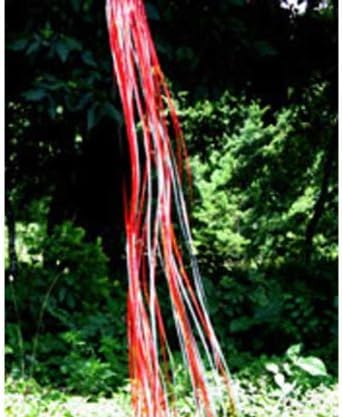 West Coast Design Rainbow Windsock Red Silver