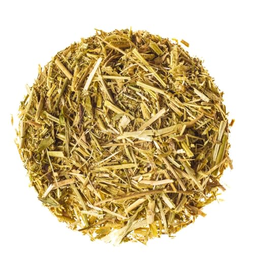 Image of 50 Bags Goat'S Rue Goat'S Goats Rue Herb Tea (Galega Officinalis L.) - 24 Count 2g Bags Herbal Tea French Lilac Ruda De Cabra