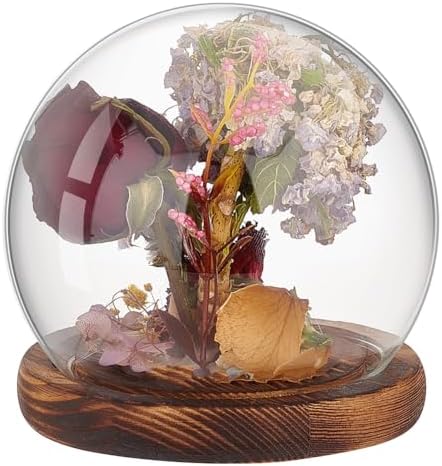 PH PandaHall Glass Cloche Dome Clear Globe Display Dome with Wood...