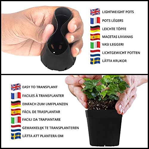 BELLE VOUS 150 Pack Square Plastic Plant Nursery Pots - 6.5 x 6.5 x 6.2cm / 2.5 x 2.5 x 2.4 inches - Durable Flower/Seedling Containers for Succulents, Vegetables, Gardens/Indoors and Seed Starting