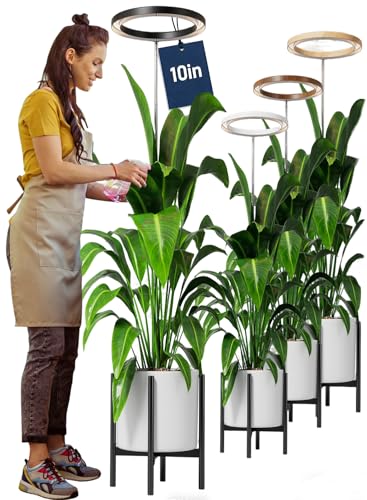 10 Grow Lights for Large Indoor Plants Full Spectrum Indoor Plant Light for Indoor Growing with Timer Height Adjustable Auto On/Off 3/9/12H 9 Brightness Led Tall Halo Grow Light for House Plants