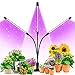 Grow Light, Ankace 60W Tri Head Timing 60 LED 5 Dimmable Levels Plant Grow Lights for Indoor Plants with Red Blue Spectrum, Adjustable Gooseneck, 3 6 12H Timer, 3 Switch Modes